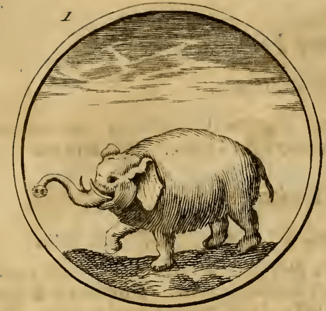 I. Een Elefant. (Слон) — Видання 1705 р. Емблема 1. Слон — Symbola et emblemata