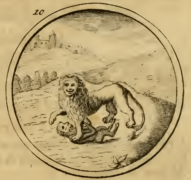 10. Een Leeuw scheurende een Aap. (Лев, що роздирає мавпу) — Видання 1705 р. Емблема 10. Лев, що роздирає мавпу — Symbola et emblemata