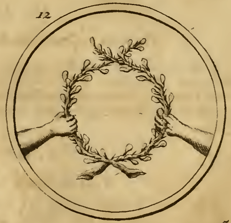 12. Twee handen houdende een kroon van Doornen. (Дві руки, що тримають терновий вінець) — Видання 1705 р. Емблема 12. Дві руки, що тримають терновий вінець — Symbola et emblemata
