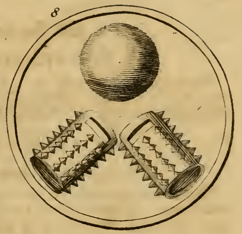 8. Een Balon. (Повітряна куля) — Видання 1705 р. Емблема 8. Повітряна куля — Symbola et emblemata