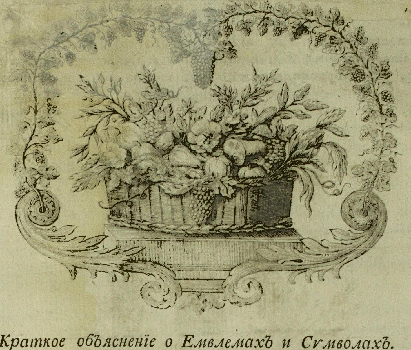 Engraving of a floral basket with grapevine arch and scroll ornament.